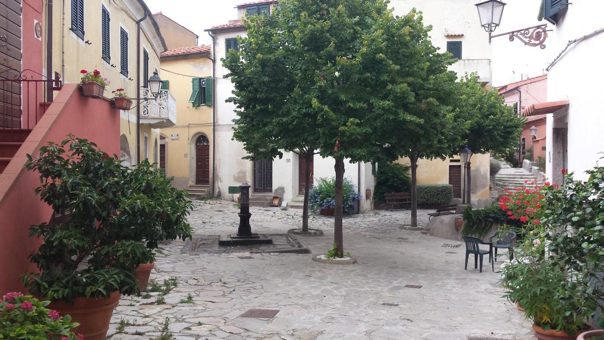 Apartmán La Casalina Dell'Elba Marciana  Exteriér fotografie