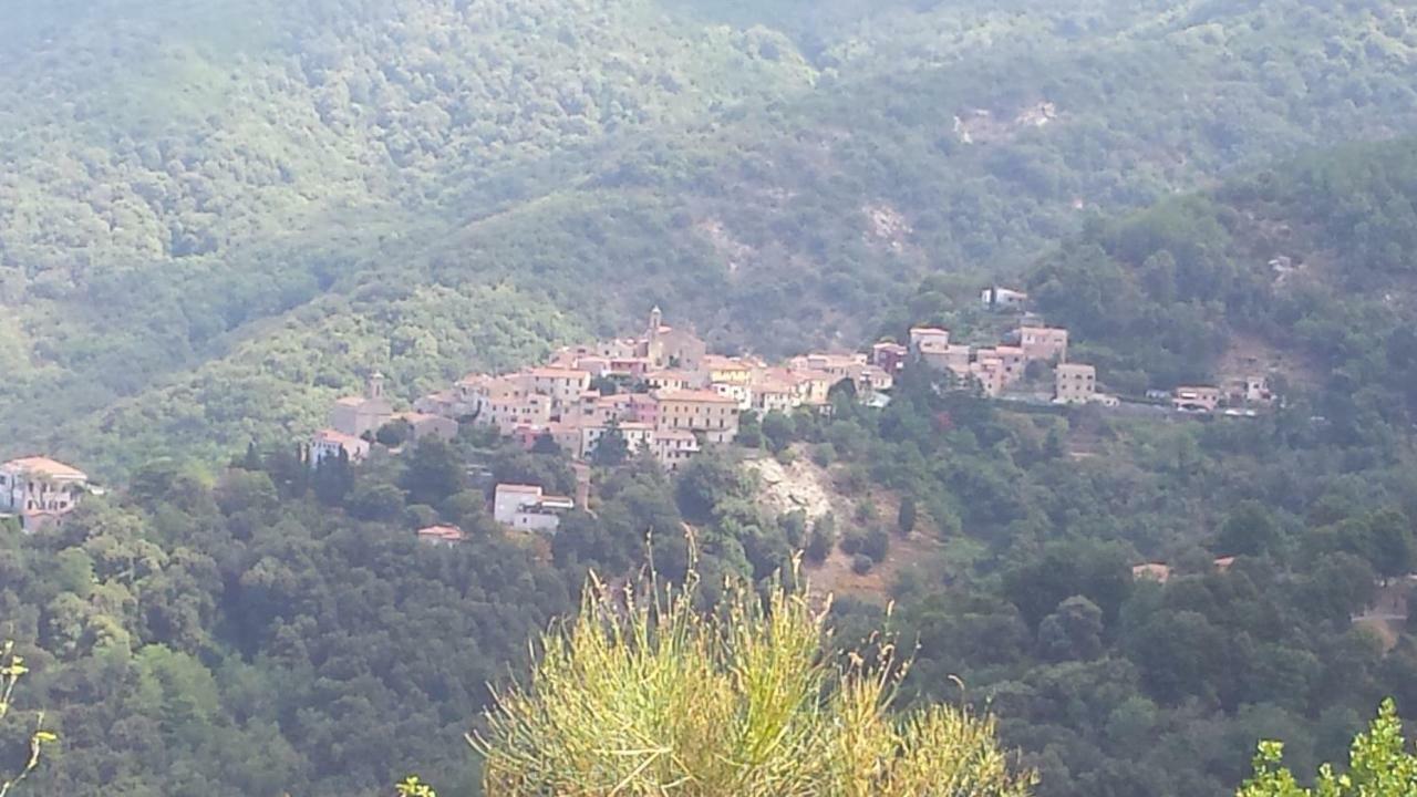 Apartmán La Casalina Dell'Elba Marciana  Exteriér fotografie